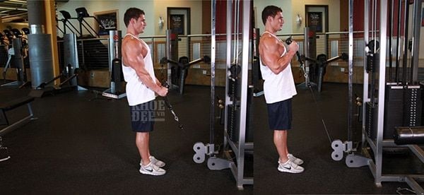 Cable Hammer Curls Rope Attachment