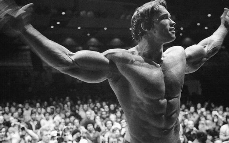 Arnold Split Sample Workout