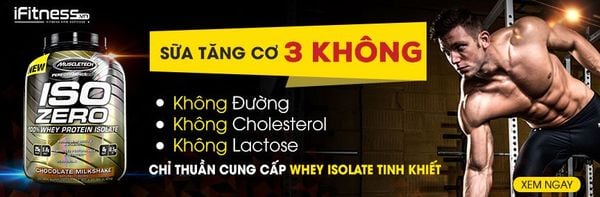 Top 25 loại sữa Whey Protein tốt nhất để tăng cơ giảm mỡ cho gymer