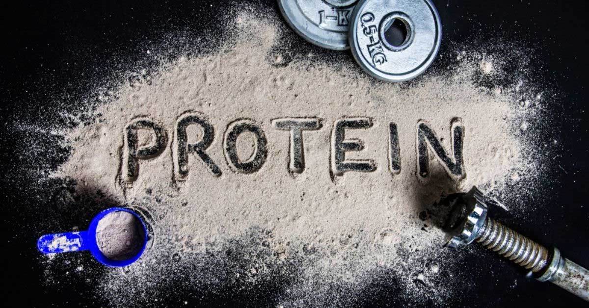 Protein là gì? Tầm quan trọng của protein với cơ bắp và cuộc sống