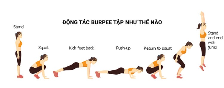 bai tap burpee