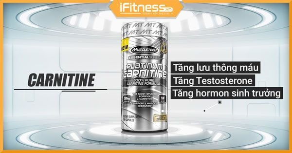 carnitine