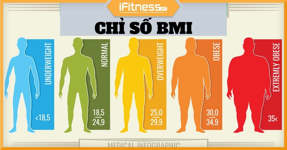 Cách Tính Chỉ Số Bmi (Body Mass Index): Tính Online, Chuẩn Khoa Học
