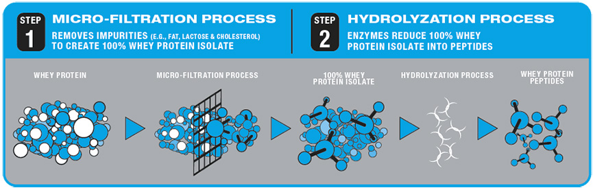 hydrolyzed 100% whey protein isolate 