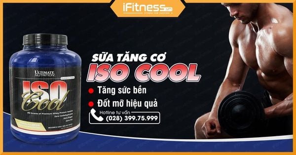 Top 25 loại sữa Whey Protein tốt nhất để tăng cơ giảm mỡ cho gymer