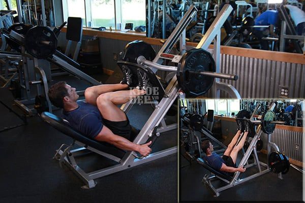 lich tap gym cho nam 6 buoi 1 tuan leg press