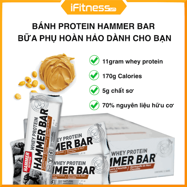 hammer bar protein