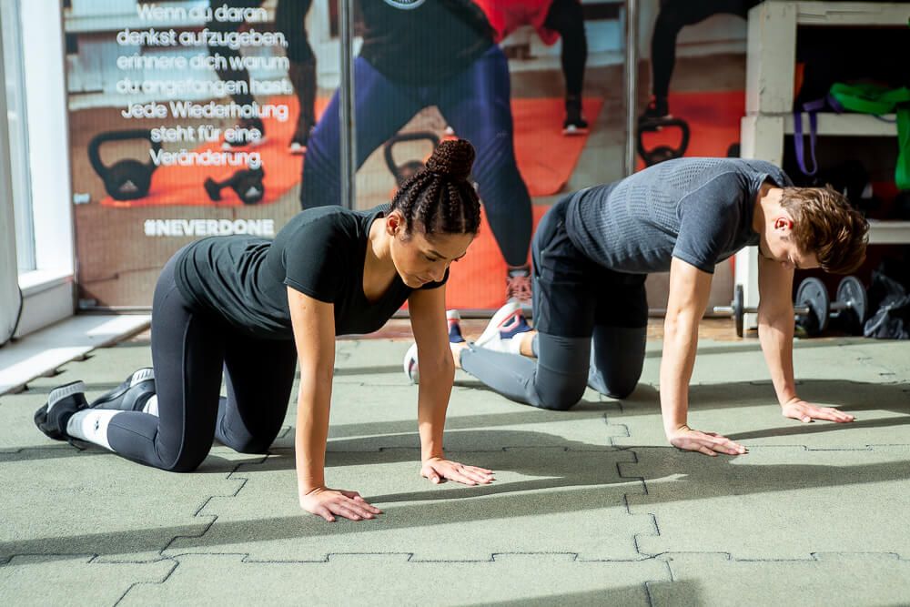 quadruped limb raises