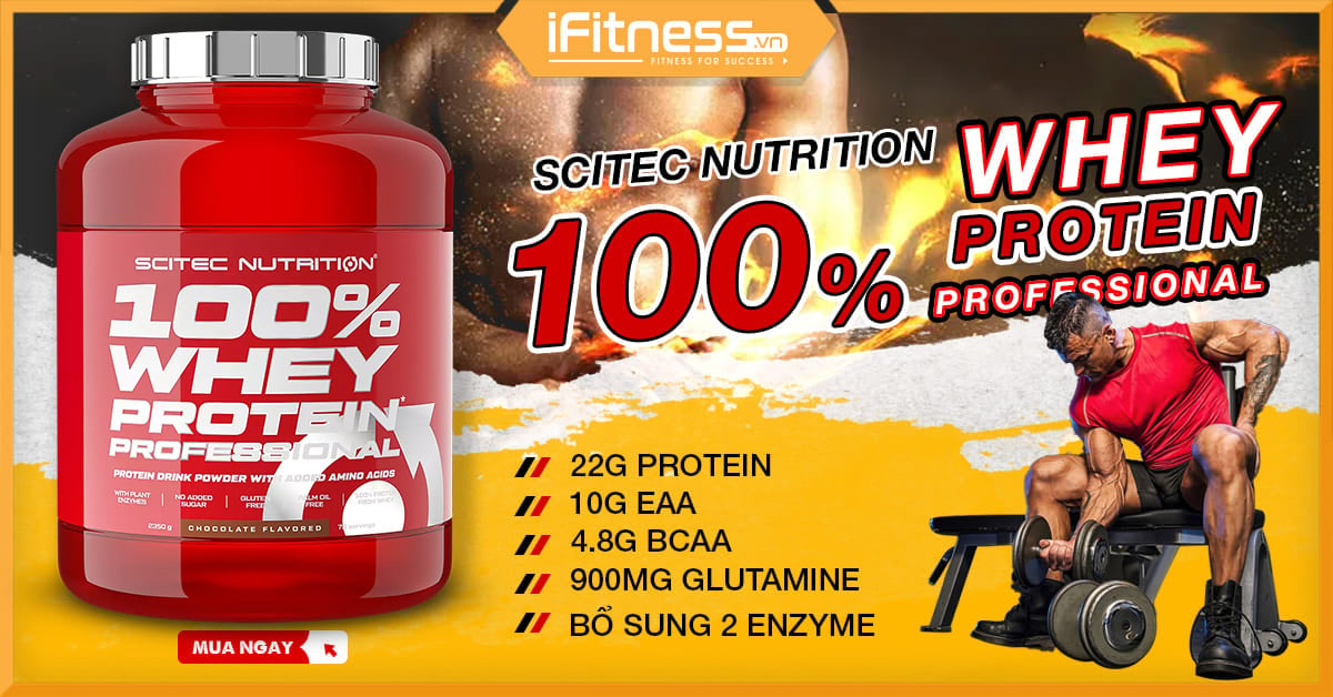 scitech nutrition 100% Whey Protein Professional