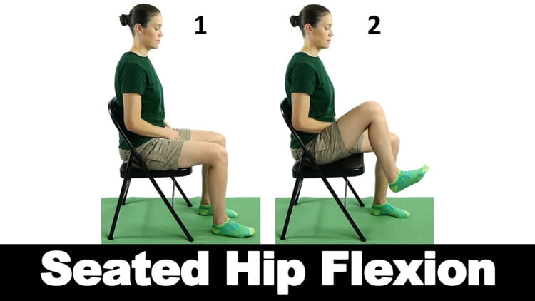 Hip Flexion