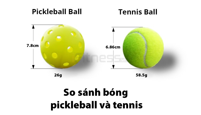 So sánh bóng Pickleball và bóng Tennis