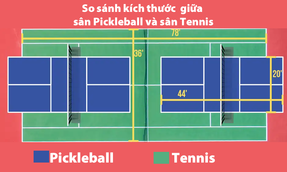 So sánh sân Pickleball và sân Tennis