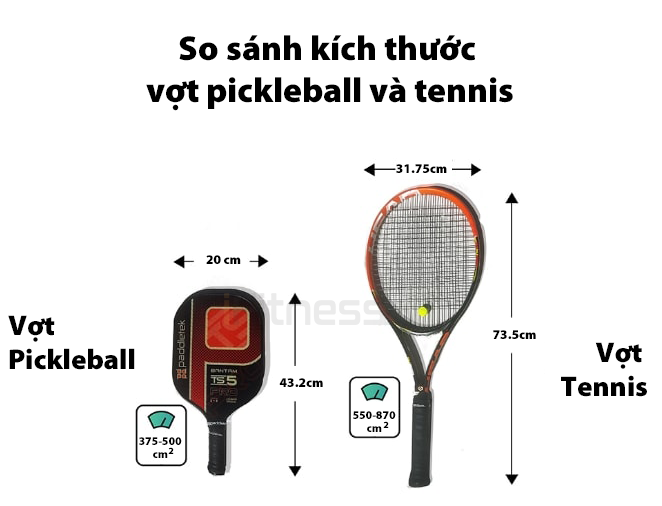 So sánh vợt Pickleball và vợt Tennis