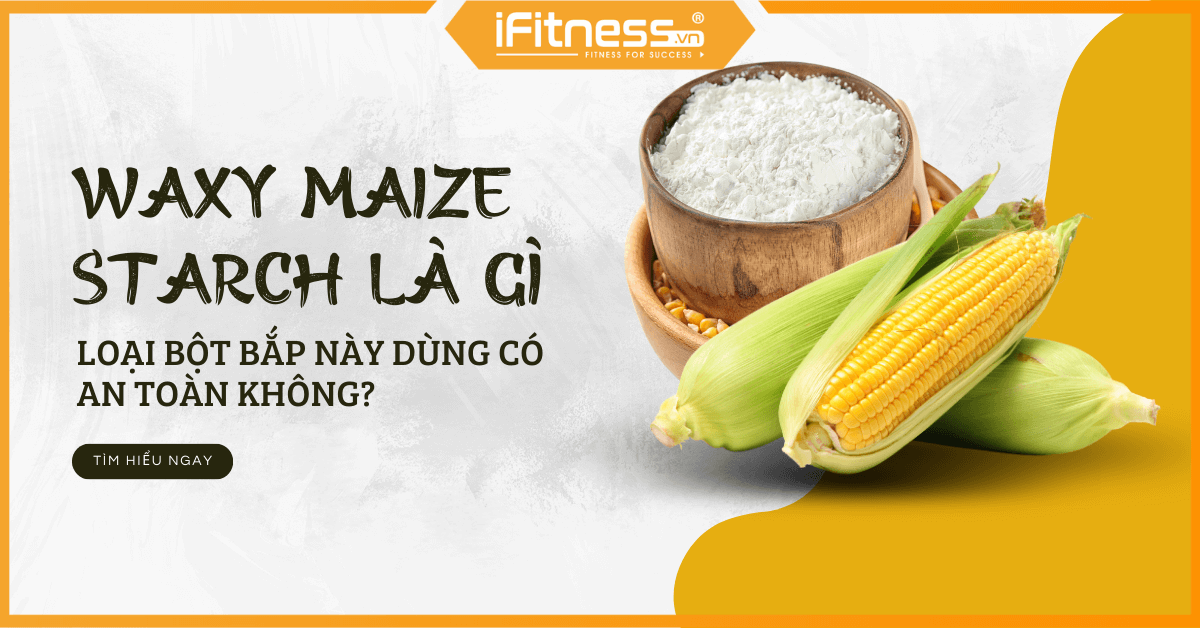 Waxy maize starch - Thế hệ tinh bột bắp mới bạn đã biết chưa