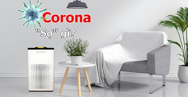Máy lọc không khí có chống được virus corona?