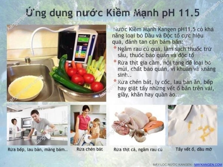 Máy Lọc Nước Kangen Leveluk SD501 Platinum 100% Chính Hãng Nhật Bản