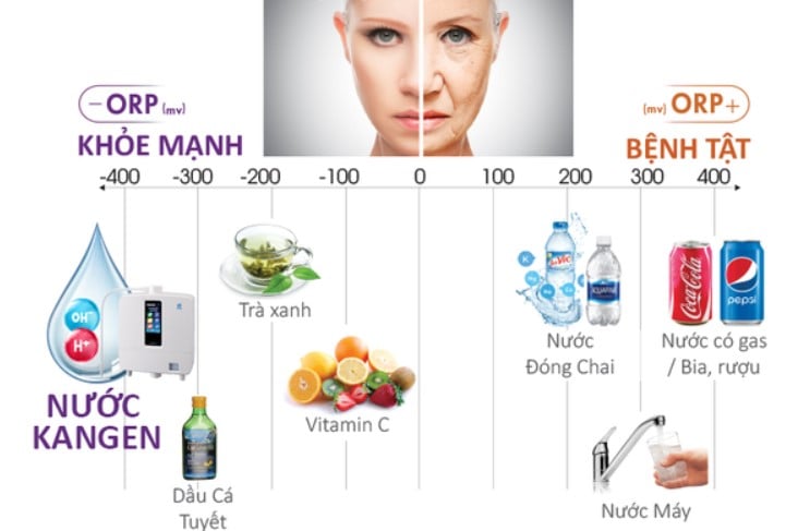 Máy lọc nước Kangen K8