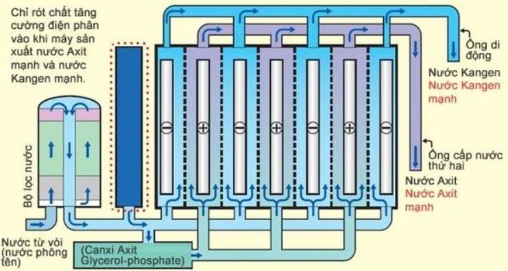 Máy lọc nước Kangen K8