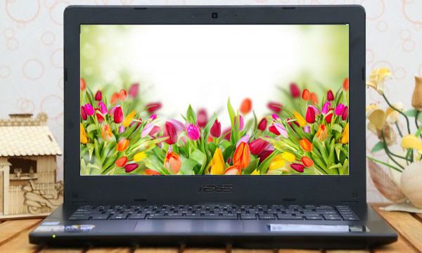 Asus P450LDV Core i3 Ram 4GB HDD 500GB