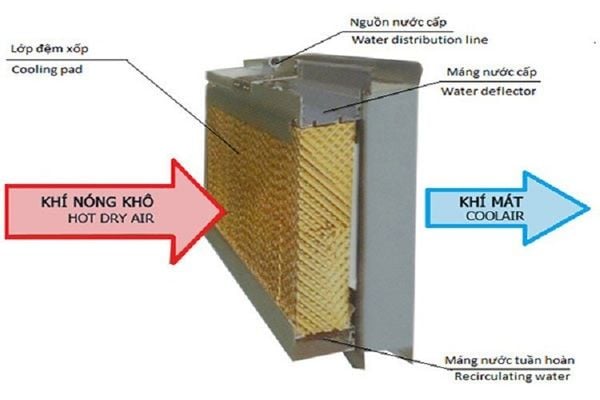 Nơi bán sỉ quạt điều hòa hơi nước máy làm mát không khí tại đà nẵng miền trung