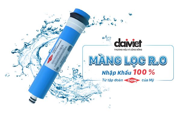 may loc nuoc nong nguoi Daikio RO DKW-34009B