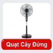 Quạt Cây Đà Nẵng