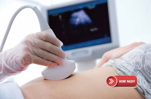 Có bao nhiêu loại siêu âm trong thai kỳ?
