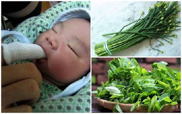 Theo phương pháp dân gian mẹ có thể dùng rau ngót hoặc lá hẹ rơ lưỡi cho bé
