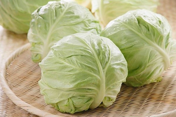 Bắp cải có tính hàn có thể làm giảm sữa, mất sữa