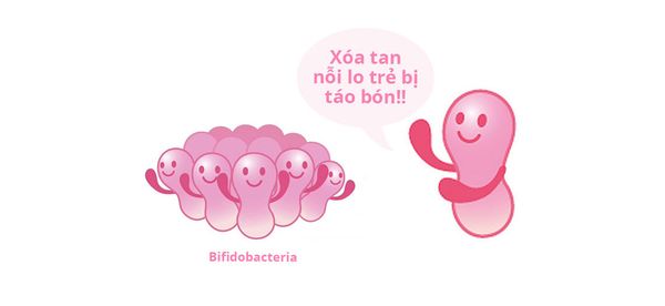 Tối ưu hệ tiêu hóa