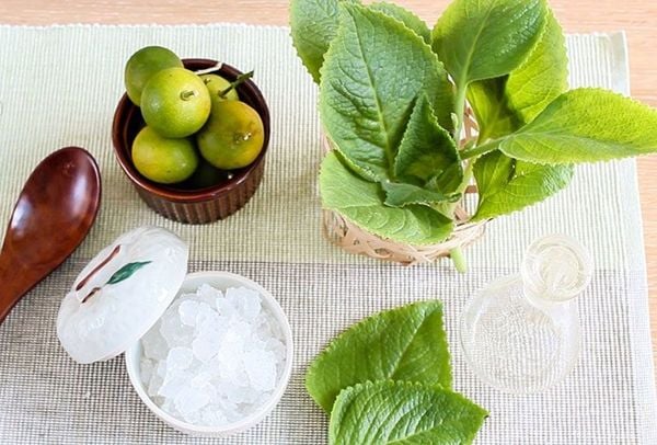 Bài thuốc dân gian hỗ trợ giúp bé giảm ho, khàn tiếng
