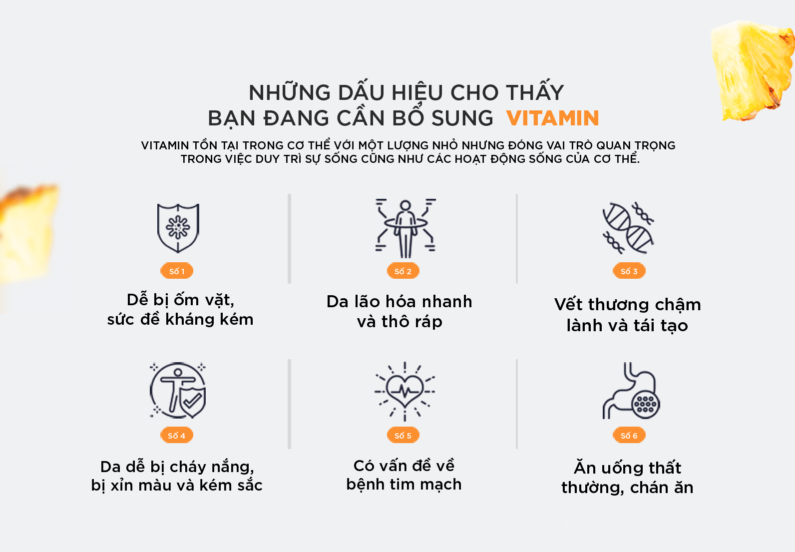 Viên uống vitamin tổng hợp DHC Multi Vitamins