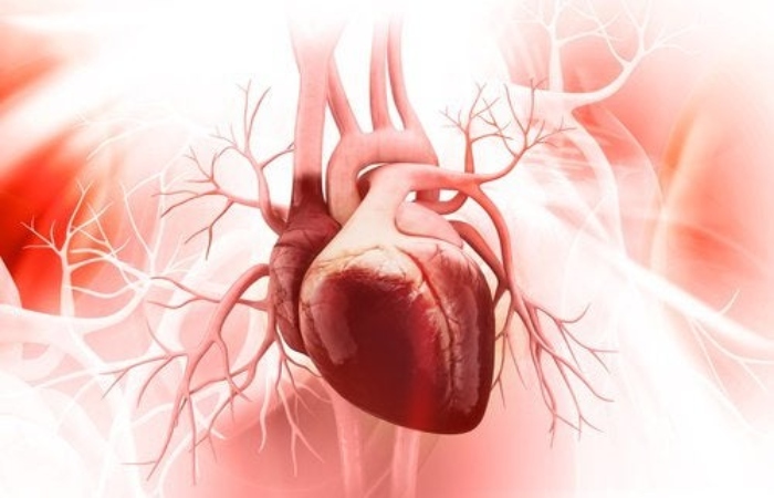 Bổ sung vitamin E giúp tăng cường sức khỏe hệ tim mạch