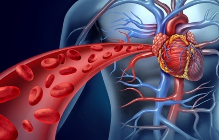 Collagen giúp làm giảm nguy cơ mắc các bệnh tim mạch