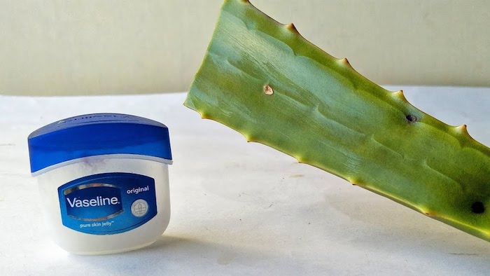 Kết hợp vaseline cùng nha đam và đường để tẩy tế bào chết, đồng thời dưỡng ẩm môi hiệu quả