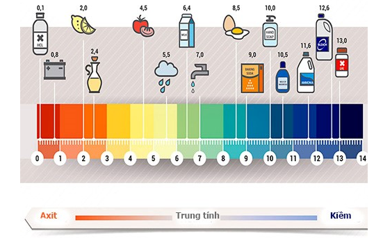 các loại sữa rửa mặt cho da dầu mụn