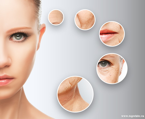 công dụng của vitamin C đẩy lùi lão hóa da