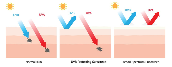 Broad Spectrum ngăn ngừa cả tia UVA lẫn tia UVB