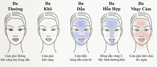 hiểu rõ về làn da