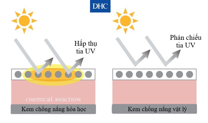 Kem chống nắng hóa học hấp thụ tia UV rồi giải phóng chúng ra ngoài