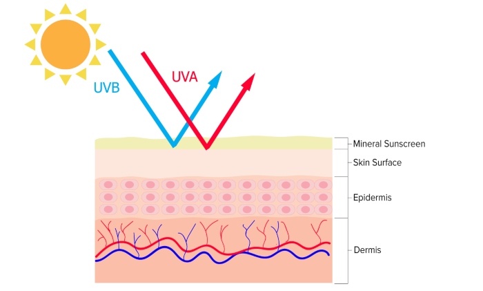 Kem chống nắng vật lý có khả năng phản xạ tia UV