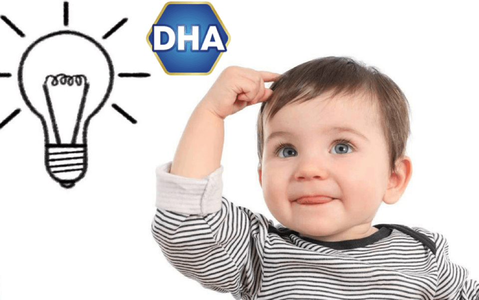 Bổ sung DHA cho trẻ từ 1-6 tuổi bằng thực phẩm giàu DHA giúp bé thông minh hơn