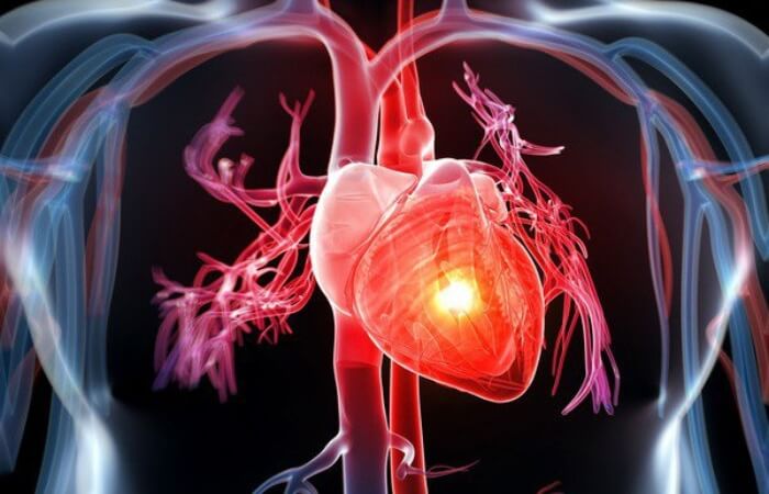 Uống vitamin E trước khi ngủ giúp ổn định chỉ số cholesterol, ổn định sức khỏe tim mạch