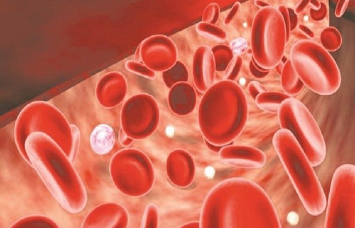 Vitamin B9 và B12 đều tham gia vào sự hình thành các hồng cầu, giúp sửa chữa các mô và tế bào