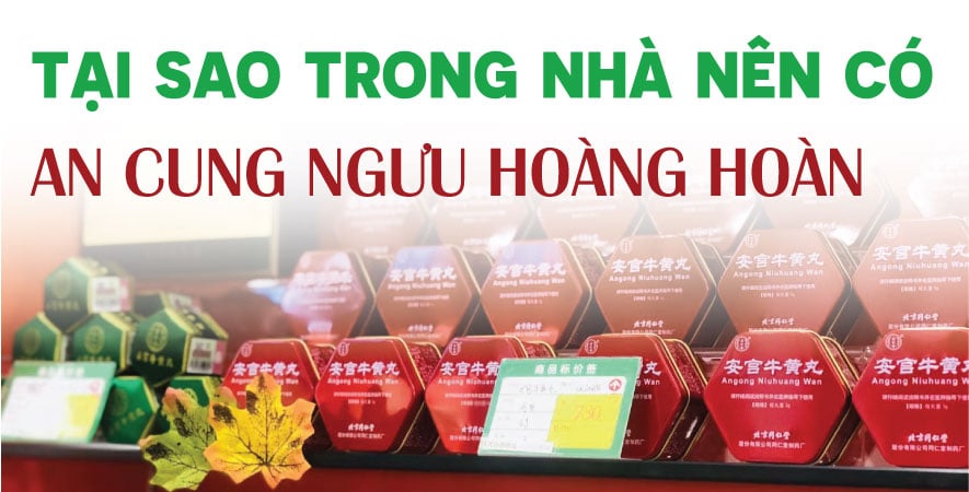 TẠI SAO TRONG NHÀ NÊN CÓ AN CUNG NGƯU HOÀNG HOÀN