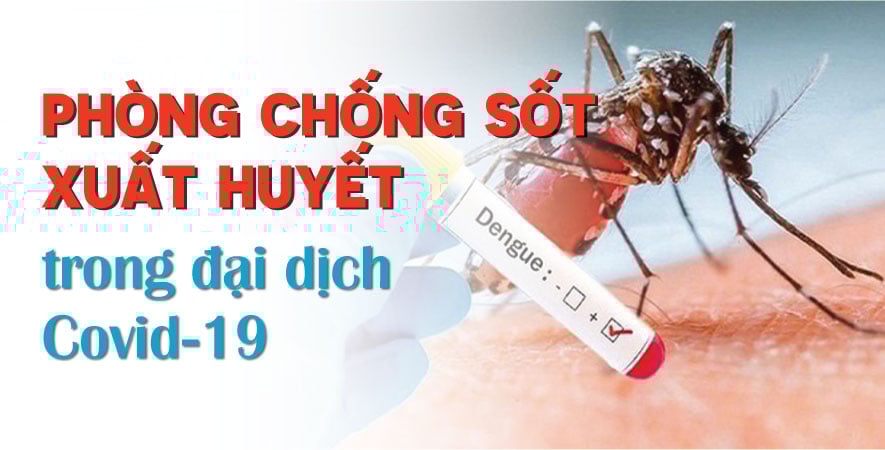 PHÒNG CHỐNG SỐT XUẤT HUYẾT TRONG ĐẠI DỊCH COVID-19