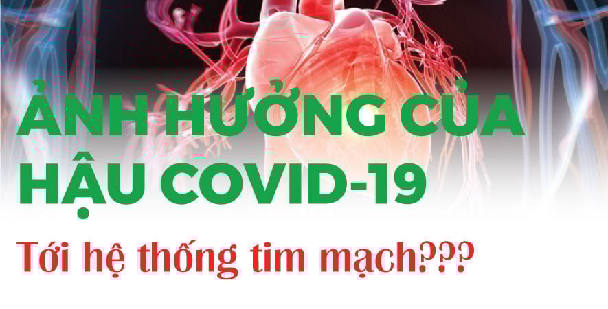 SỰ ẢNH HƯỞNG CỦA COVID 19 ĐẾN HỆ THỐNG TIM MẠCH