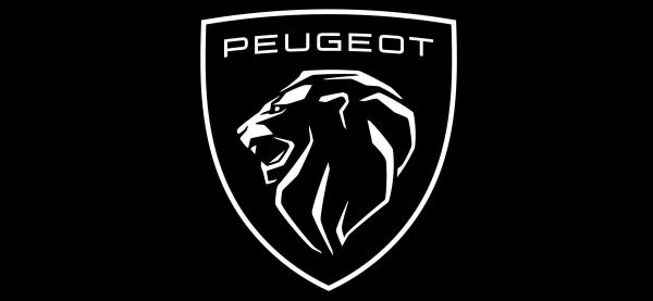 Phụ tùng ô tô PEUGEOT