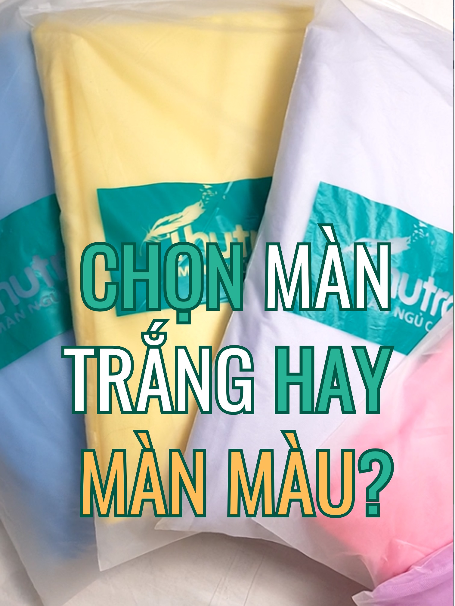 (VIDEO) Mua màn tuyn nên chọn MÀN TRẮNG hay MÀN MÀU?