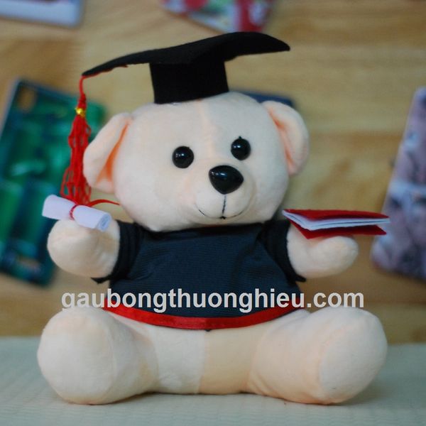 Gấu bông tốt nghiệp Hà Nội